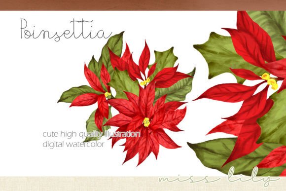 Christmas Poinsettia Ornament Bouquet Illustrations
